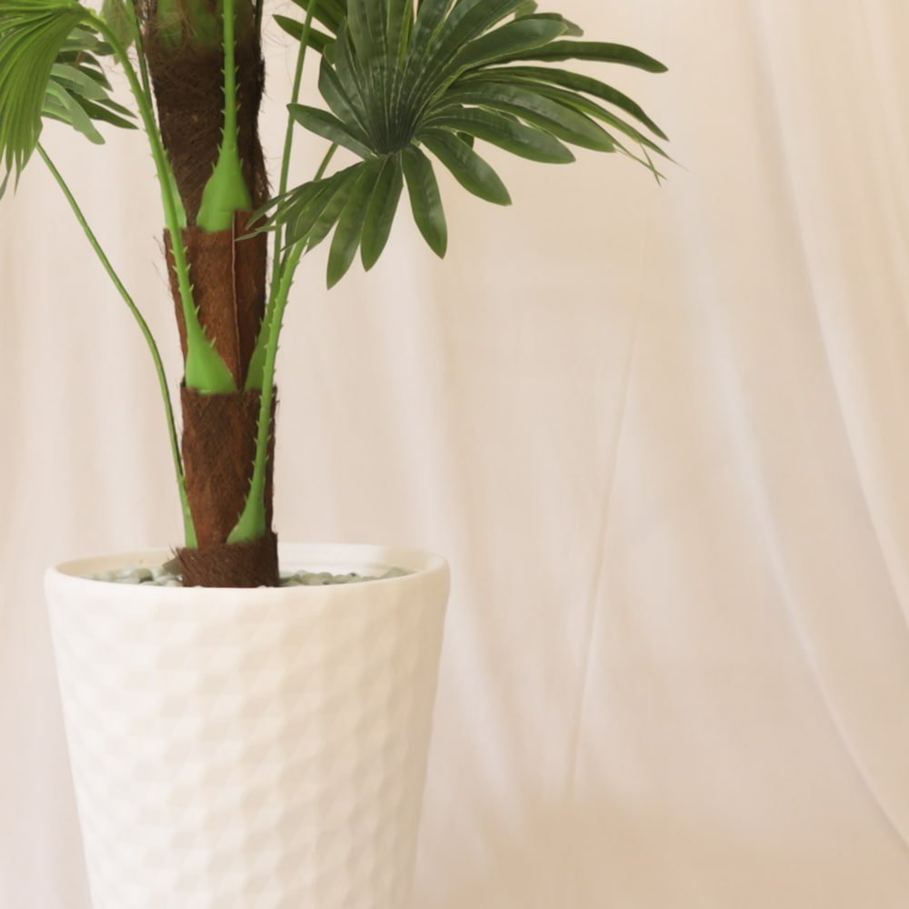 Exotic Botanical Haven Fan Palm Tree with White Textured Pot | Contemporary Artificial Tropical Palm for Living Room, Office & Hallway - Image 3