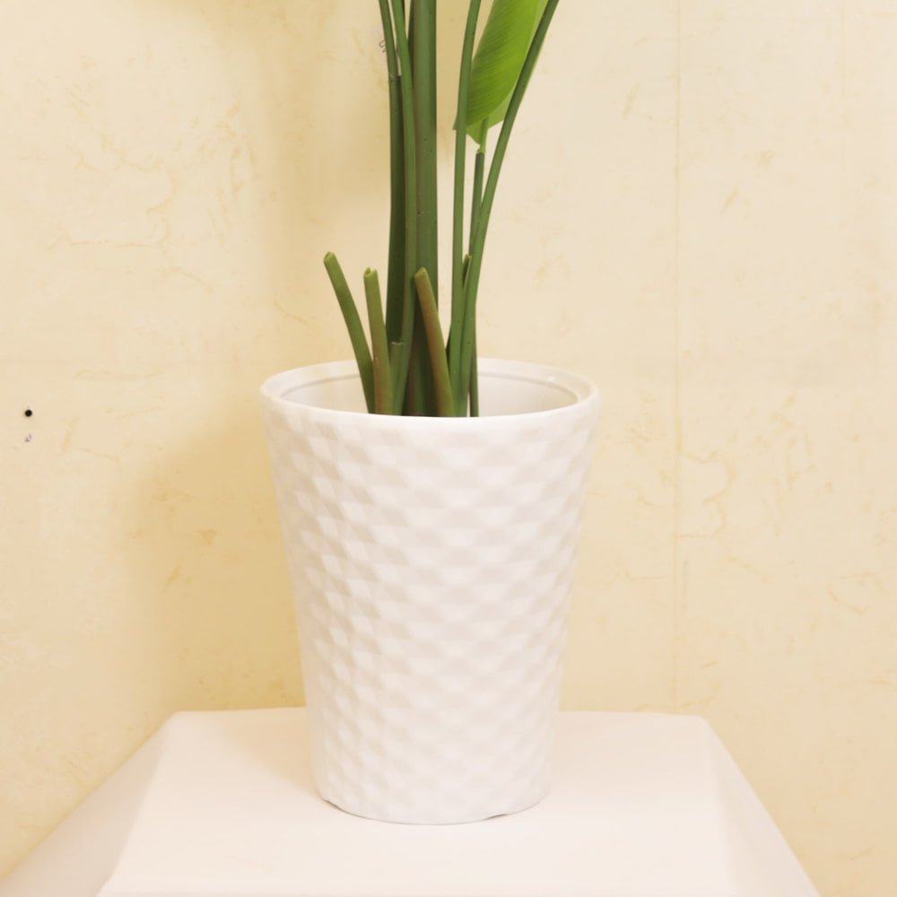 Elegant Botanical Haven Bird of Paradise Plant with White Textured Pot | Contemporary Artificial Strelitzia for Living Room, Office & Hallway - Image 3