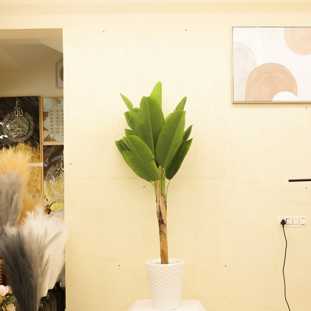 Tropical Botanical Haven Banana Tree with White Textured Pot | Contemporary Artificial Tropical Plant for Living Room, Office & Hallway - Image 4