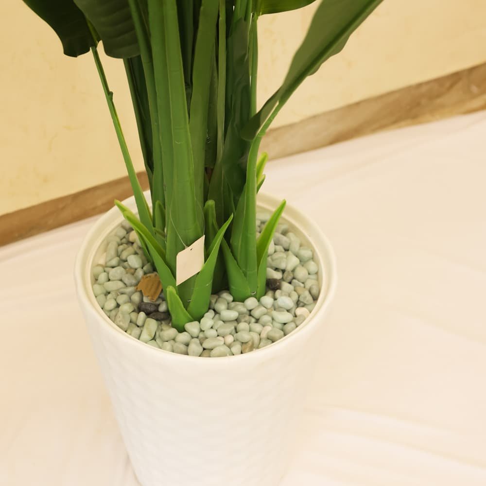 Serene Botanical Haven Strelitzia Plant with White Textured Pot | Contemporary Artificial Bird of Paradise for Living Room, Office & Hallway - Image 3