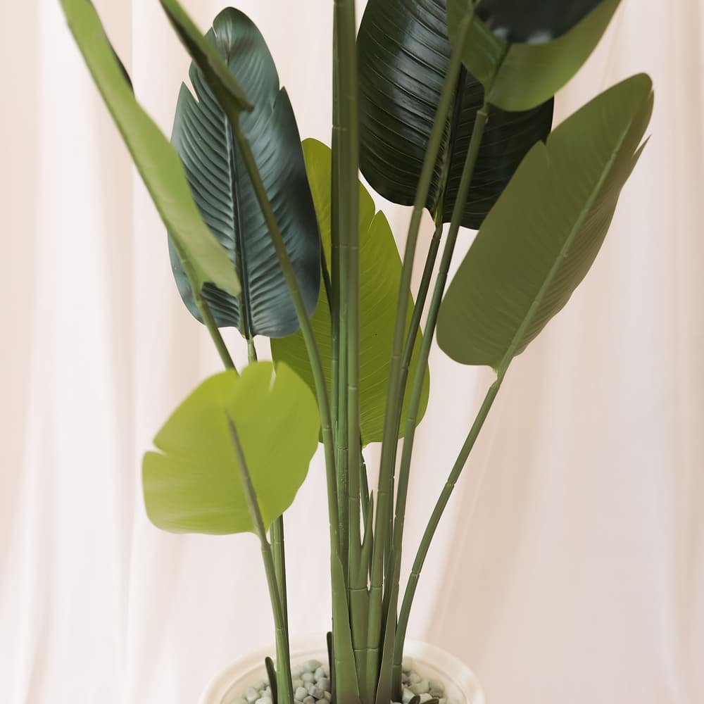 Verdant Botanical Haven Traveler's Palm Plant with White Textured Pot | Contemporary Artificial Tropical Foliage for Living Room, Office & Hallway - Image 3