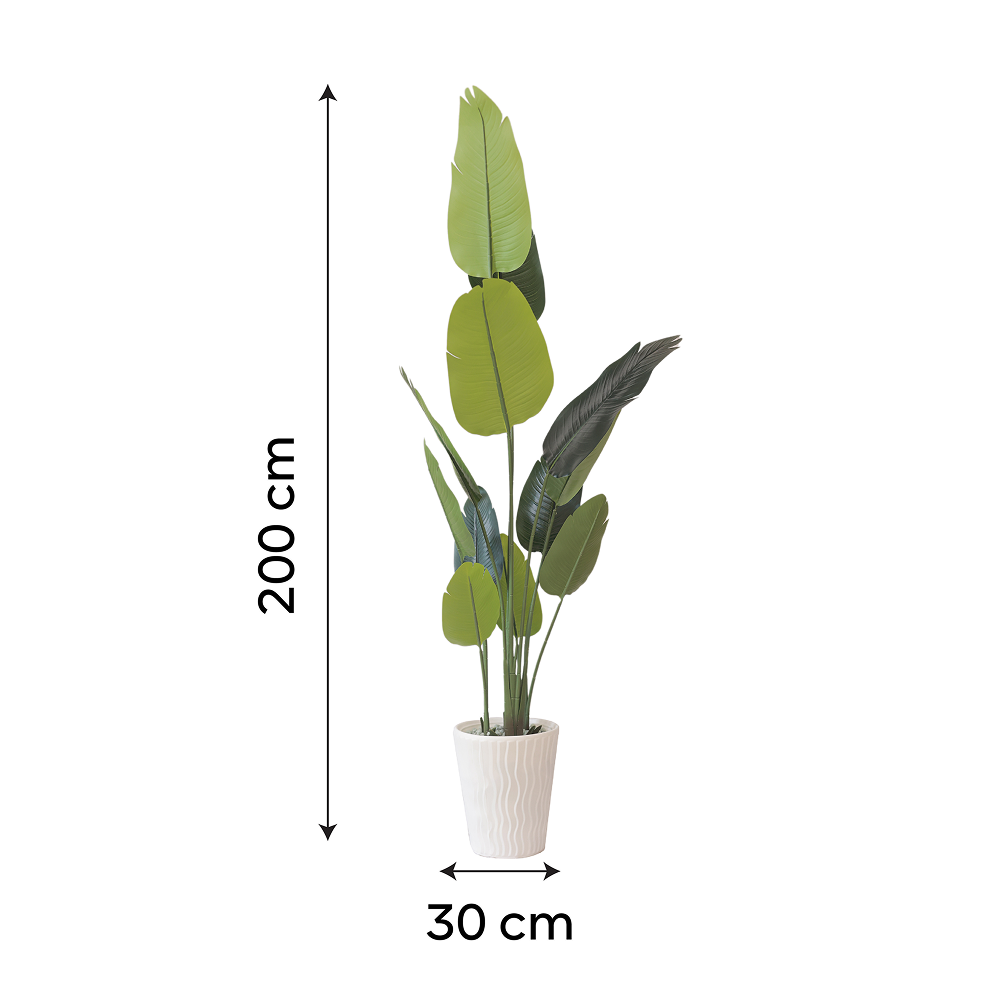 Verdant Botanical Haven Traveler's Palm Plant with White Textured Pot | Contemporary Artificial Tropical Foliage for Living Room, Office & Hallway - Image 5