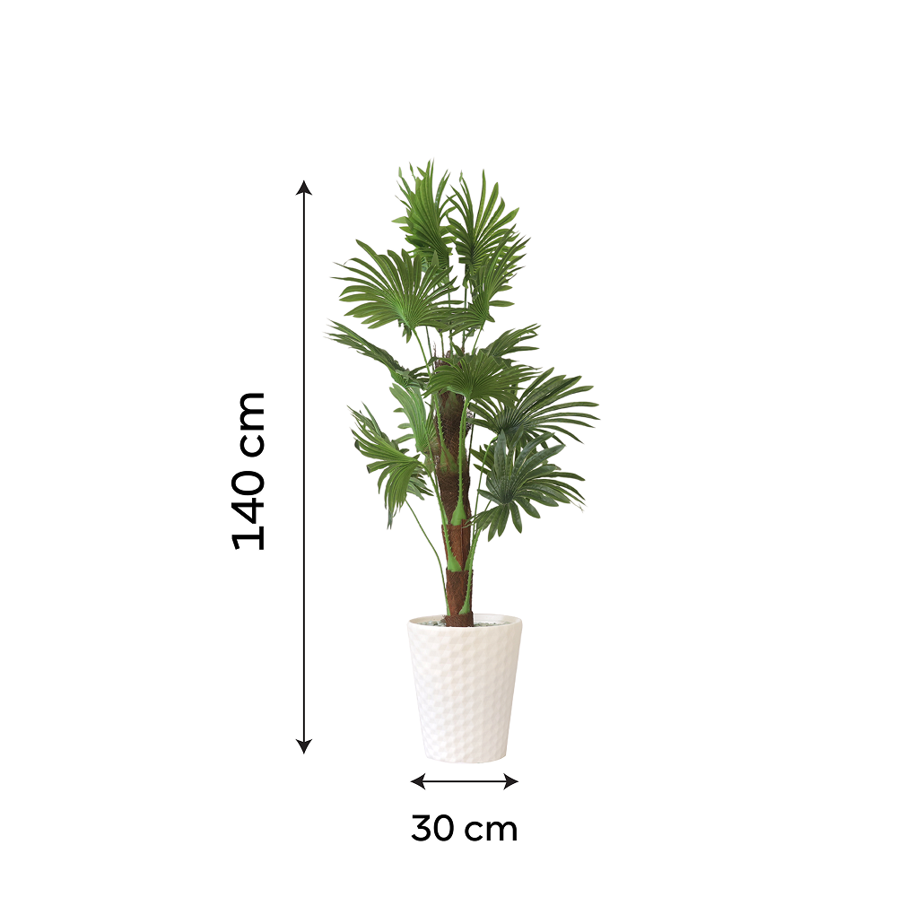 Exotic Botanical Haven Fan Palm Tree with White Textured Pot | Contemporary Artificial Tropical Palm for Living Room, Office & Hallway - Image 4