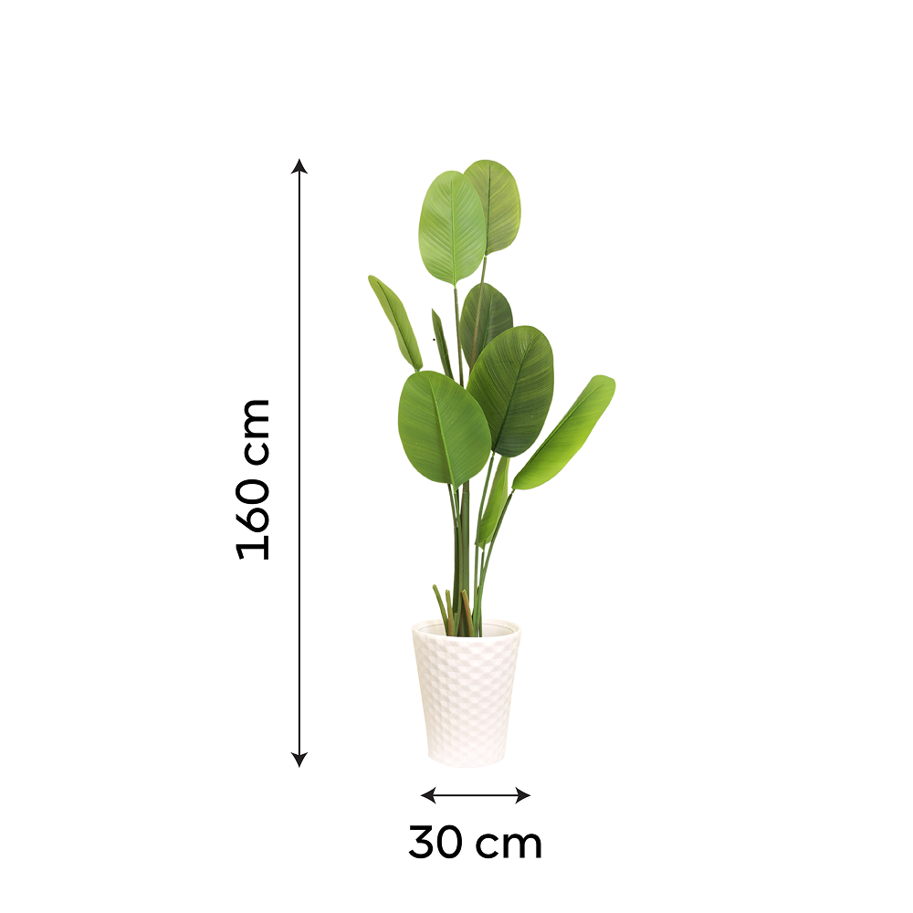 Elegant Botanical Haven Bird of Paradise Plant with White Textured Pot | Contemporary Artificial Strelitzia for Living Room, Office & Hallway - Image 5