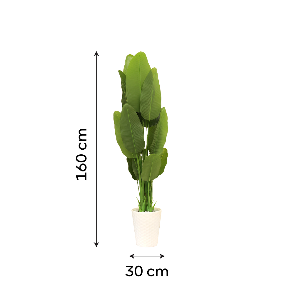 Serene Botanical Haven Strelitzia Plant with White Textured Pot | Contemporary Artificial Bird of Paradise for Living Room, Office & Hallway - Image 4