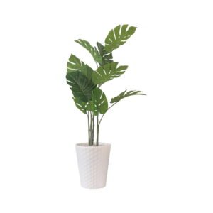 Vibrant Botanical Haven Monstera Deliciosa Plant with White Textured Pot | Contemporary Artificial Split-Leaf Plant for Living Room, Office & Hallway