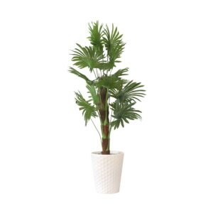 Exotic Botanical Haven Fan Palm Tree with White Textured Pot | Contemporary Artificial Tropical Palm for Living Room, Office & Hallway