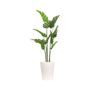 Trailing Botanical Haven Split-Philodendron Plant with White Textured Pot | Contemporary Artificial Tropical Plant for Living Room, Office & Hallway