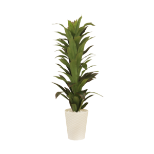 Sleek Botanical Haven Dracaena Plant with White Textured Pot | Contemporary Artificial Floor Plant for Living Room, Office & Hallway