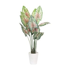 Vibrant Botanical Haven Variegated caladium Plant with White Textured Pot | Contemporary Artificial Pink-Veined Plant for Living Room, Office & Hallway
