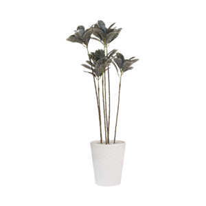 Striking Botanical Haven Croton Plant with White Textured Pot | Contemporary Artificial Multicolored Foliage for Living Room, Office & Hallway